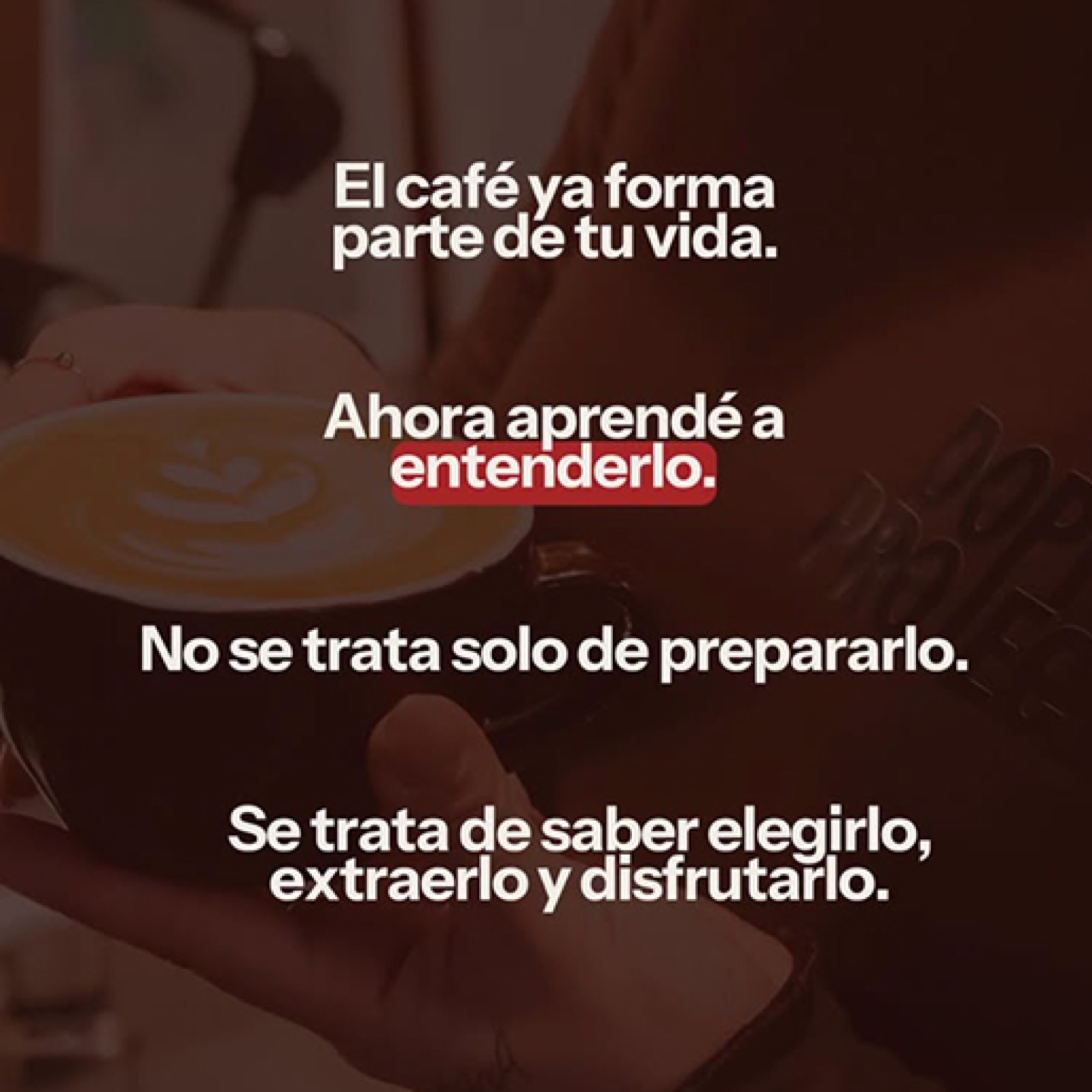 El café ya forma parte de tu vida. Ahora aprendé a entenderlo.
